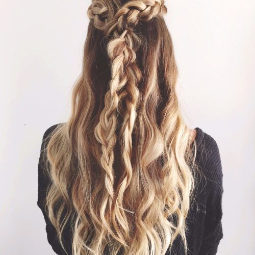 Two Braids In One Hairstyles (Photo 6 of 20)