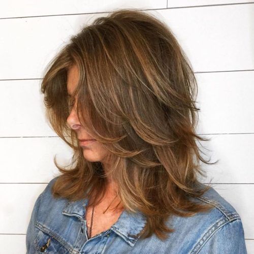 Warm Brown Hairstyles With Feathered Layers (Photo 1 of 20)