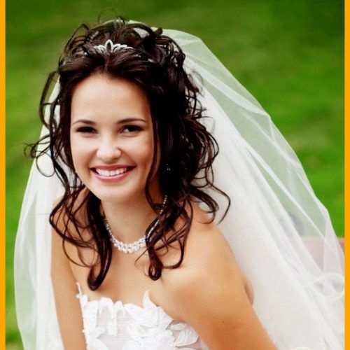 Wedding Hairstyles For Long Hair Down With Veil And Tiara (Photo 1 of 15)