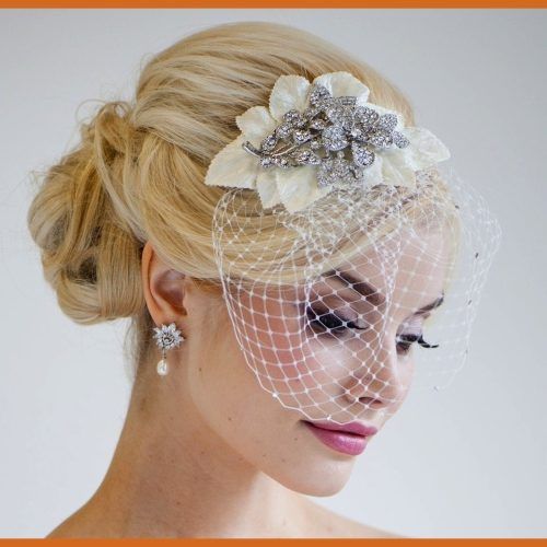 Wedding Hairstyles For Long Hair With Birdcage Veil (Photo 7 of 15)