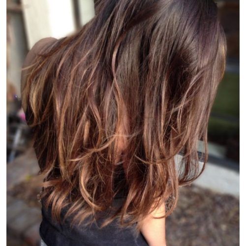 Balayage Hairstyles For Long Layers (Photo 7 of 20)