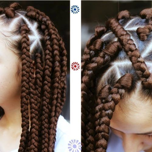Braided Hairstyle With Jumbo French Braid (Photo 6 of 15)