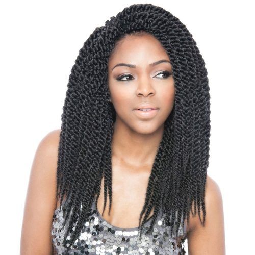 Braided Hairstyles With Crochet (Photo 14 of 15)