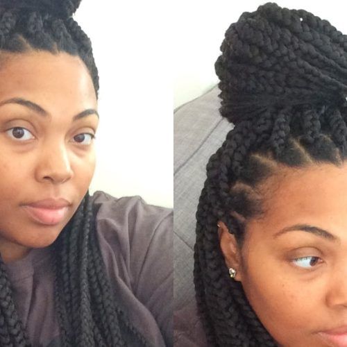 Braided Hairstyles Without Edges (Photo 8 of 15)