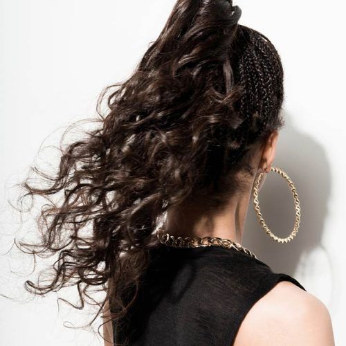Chic Ponytail Updo For Long Curly Hair (Photo 6 of 15)