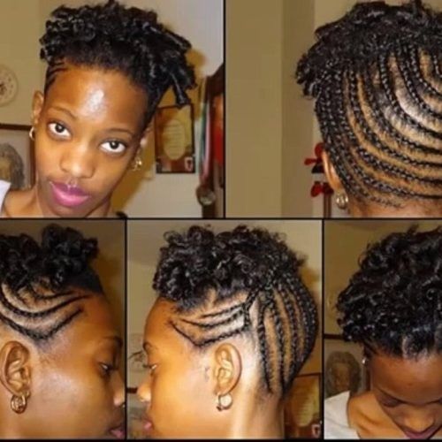 Cornrow Hairstyles For Long Hair (Photo 8 of 15)