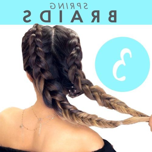 Double Braided Hairstyles (Photo 18 of 20)