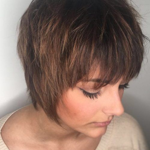 Feathered Pixie Shag Haircuts With Highlights (Photo 4 of 20)