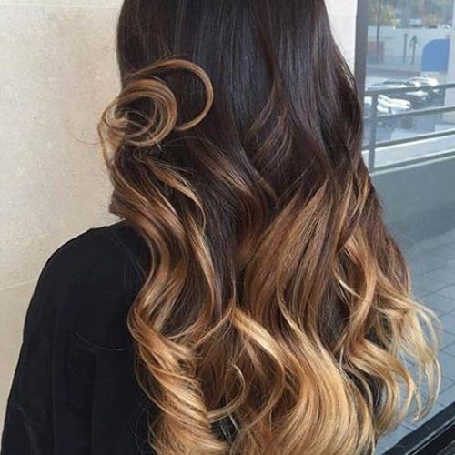 Honey Kissed Highlights Curls Hairstyles (Photo 9 of 20)