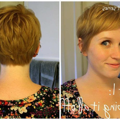 Part Pixie Part Bob Hairstyles (Photo 2 of 20)