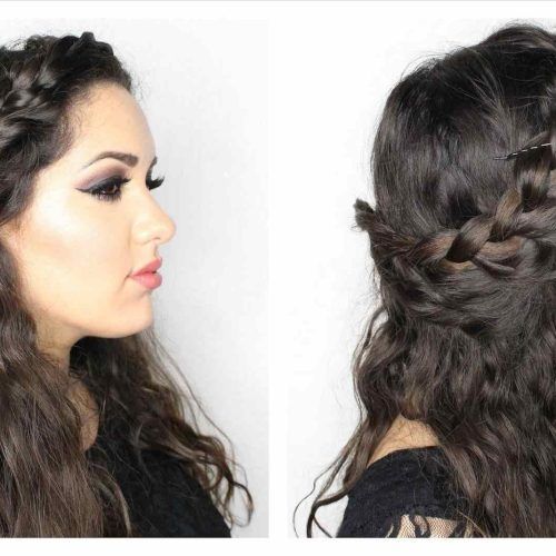 Pony Hairstyles With Accent Braids (Photo 17 of 20)