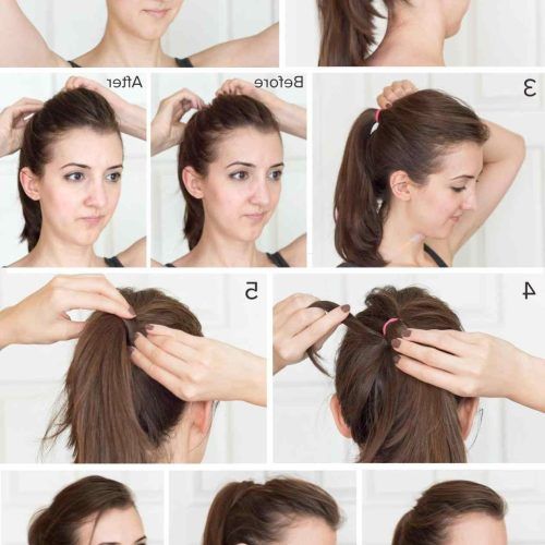 Ponytail Hairstyles With Bump (Photo 19 of 20)