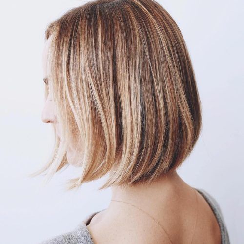 Rounded Sleek Bob Hairstyles With Minimal Layers (Photo 1 of 20)