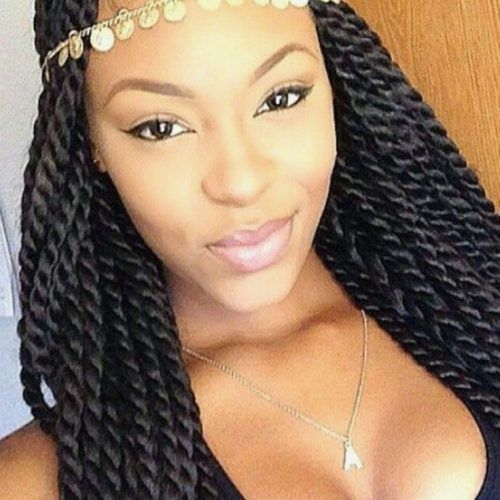 Senegalese Braided Hairstyles (Photo 11 of 15)