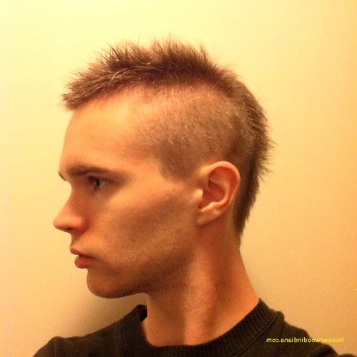 Short Mohawk Hairstyles (Photo 15 of 20)