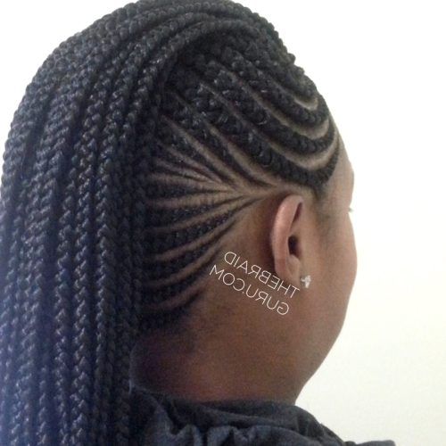 Side French Cornrow Hairstyles (Photo 12 of 15)