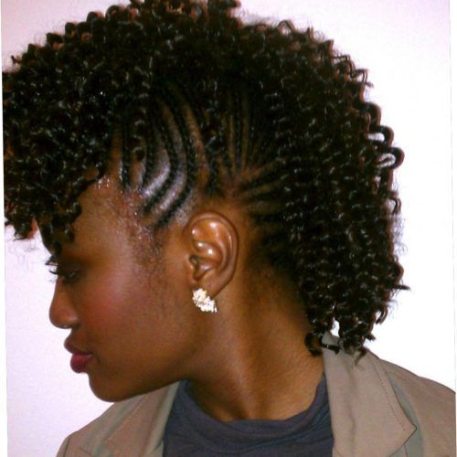 Small Braids Mohawk Hairstyles (Photo 17 of 20)