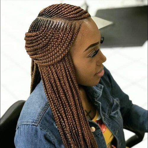 Ghanaian Braided Hairstyles (Photo 2 of 15)