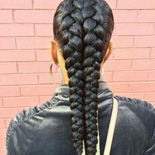 Twin Braid Updo Ponytail Hairstyles (Photo 7 of 20)