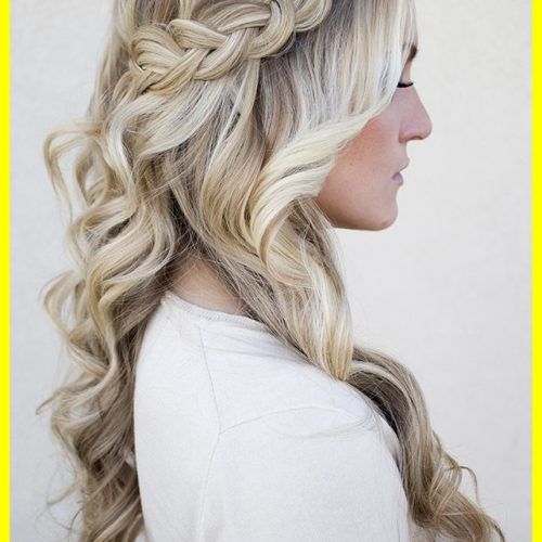 Wedding Hairstyles Down With Braids (Photo 4 of 15)