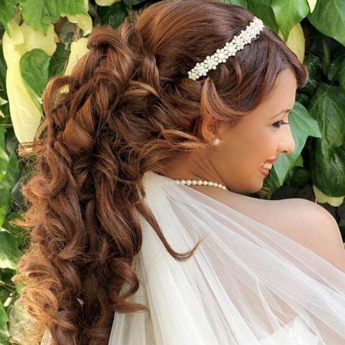 Wedding Hairstyles For Long Hair Down With Tiara (Photo 4 of 15)