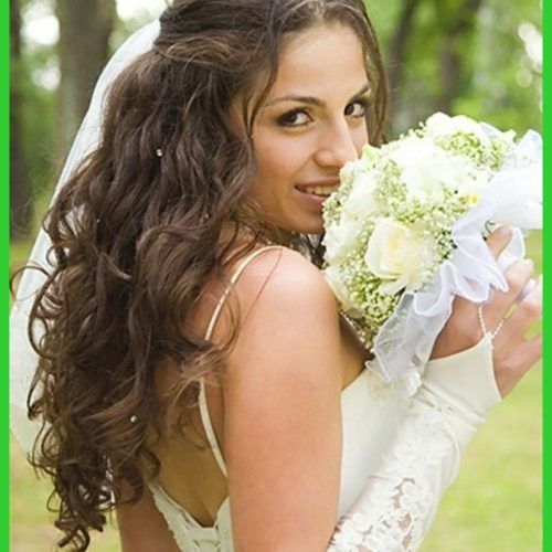 Wedding Hairstyles For Long Hair Down With Veil (Photo 15 of 15)