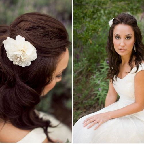 Wedding Hairstyles For Medium Length Hair With Veil (Photo 1 of 15)