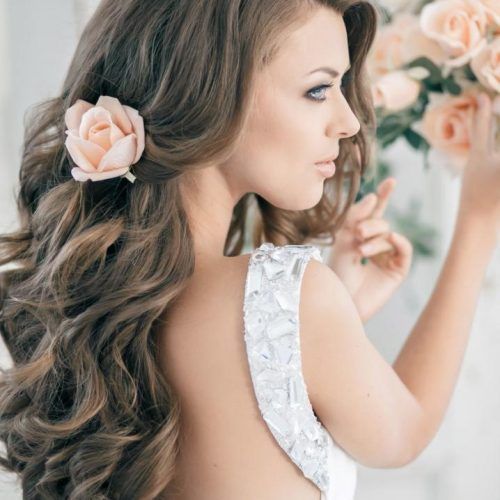 Wedding Long Down Hairstyles (Photo 18 of 20)