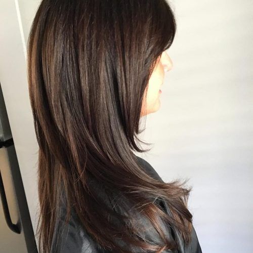 Black And Brown Layered Haircuts For Long Hair (Photo 8 of 20)