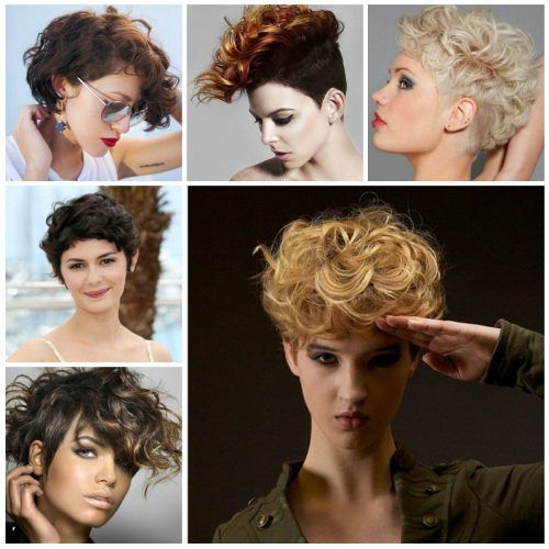 Short Curly Hairstyles (Photo 4 of 20)