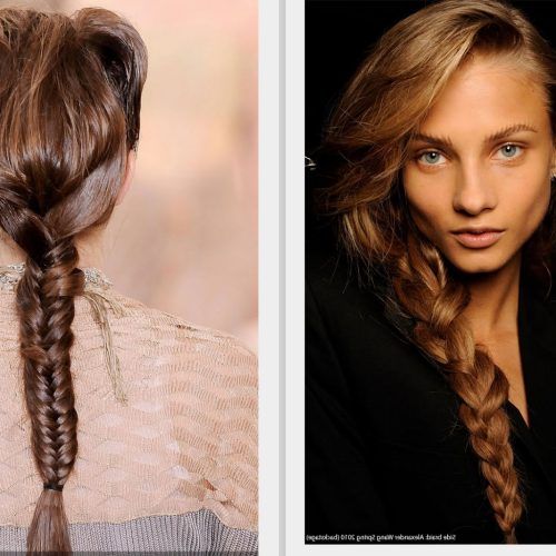 Fishtail Side Braided Hairstyles (Photo 11 of 20)