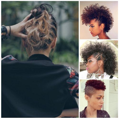 Curly Mohawk Updo Hairstyles (Photo 6 of 20)