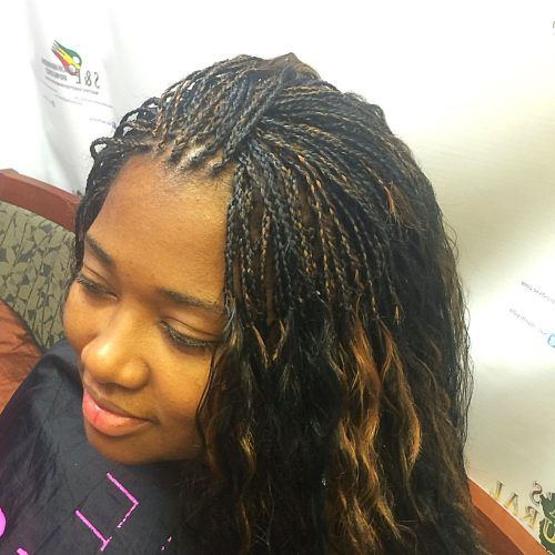 Micro Braids Hairstyles In Side Fishtail Braid (Photo 10 of 20)
