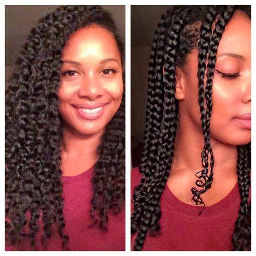 Naturally Curly Braided Hairstyles (Photo 7 of 20)