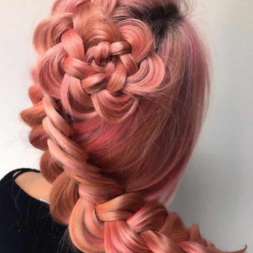 Rolled Roses Braids Hairstyles (Photo 15 of 20)