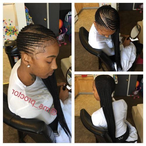 Tapered Tail Braid Hairstyles (Photo 2 of 20)