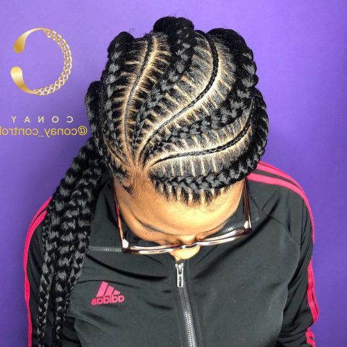 Thin And Thick Cornrows Under Braid Hairstyles (Photo 1 of 20)