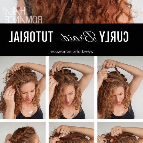 Angled Braided Hairstyles On Crimped Hair (Photo 12 of 20)