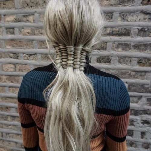 Blonde Accent Braid Hairstyles (Photo 9 of 20)