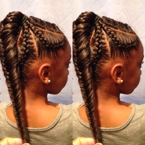 Cornrow Fishtail Side Braided Hairstyles (Photo 5 of 20)
