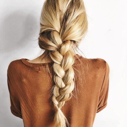 Defined French Braid Hairstyles (Photo 1 of 20)