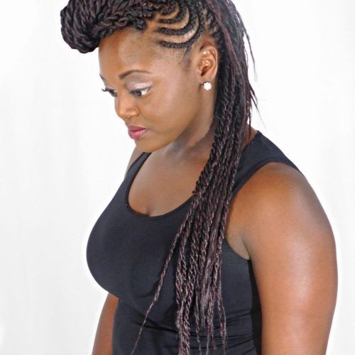 Micro Braided Hairstyles (Photo 11 of 20)