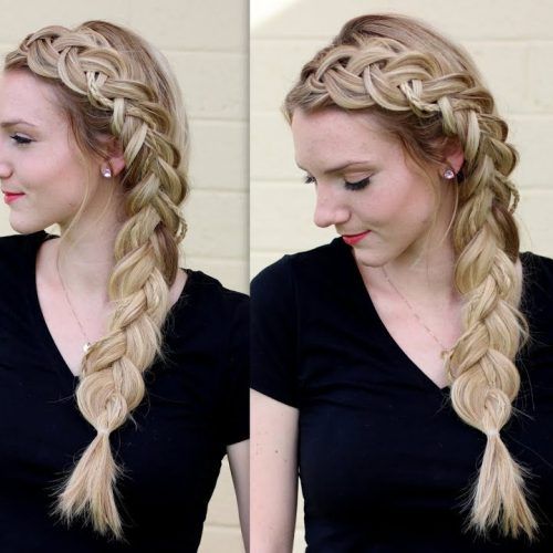 Micro Braids In Side Fishtail Braid (Photo 15 of 20)