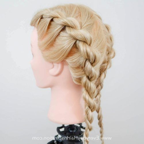 Rope And Fishtail Braid Hairstyles (Photo 10 of 20)
