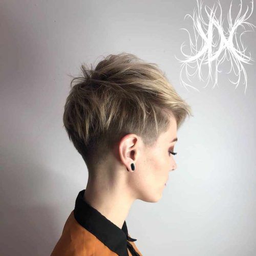 Sculptured Long Top Short Sides Pixie Hairstyles (Photo 1 of 20)