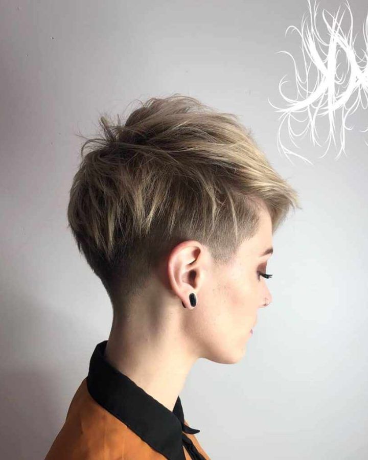 20 Ideas of Sculptured Long Top Short Sides Pixie Hairstyles