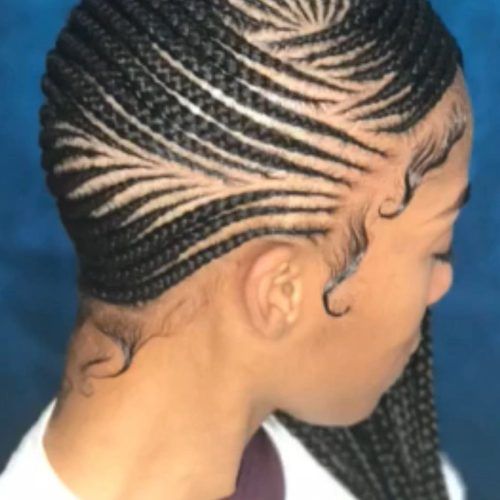 Side Cornrows Braided Hairstyles (Photo 4 of 20)