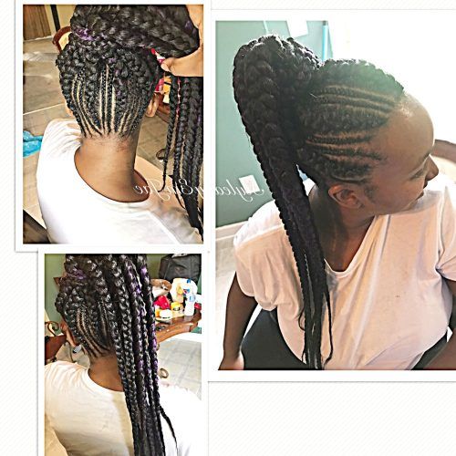 Thin And Thick Cornrows Under Braid Hairstyles (Photo 2 of 20)