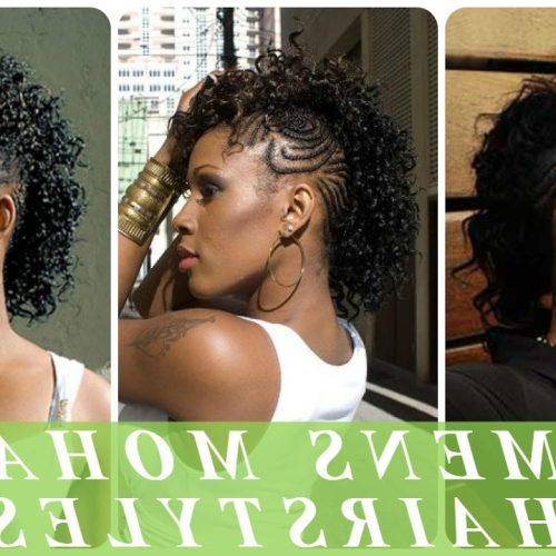 Curly Beach Mohawk Hairstyles (Photo 10 of 20)