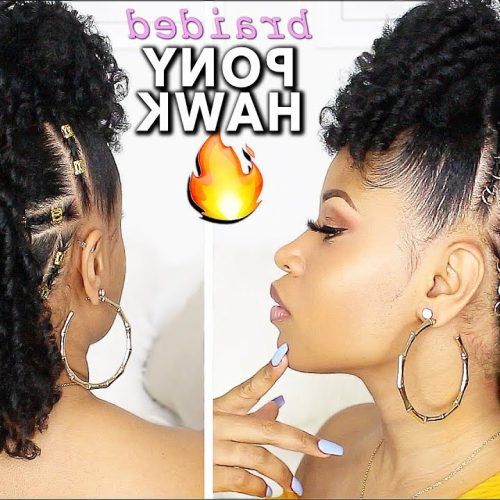 Natural Curly Hair Mohawk Hairstyles (Photo 13 of 20)